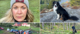 Hunden Billy spårlöst borta – i två månader