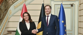 Ungern: Skulle kunna hjälpa med kontakter om Nato