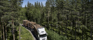 Eltimmerbilar ska minska skogsbrukets utsläpp