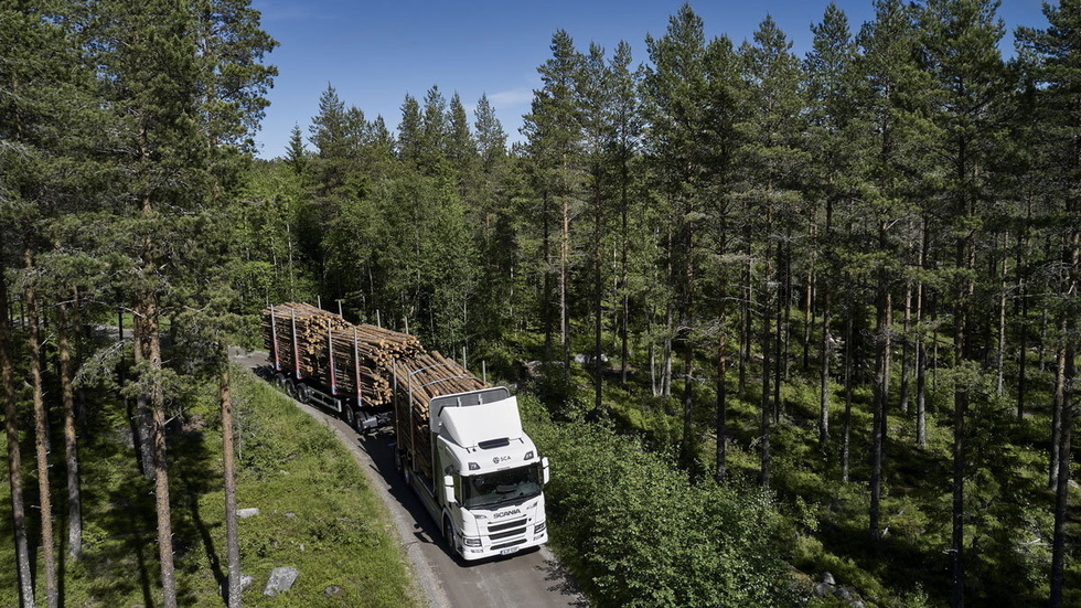 Många förändringar behöver ske samtidigt för att skogsbrukets vägtransporter ska bli fossilfria, säger projektledaren Anna Pernestål vid Skogforsk.