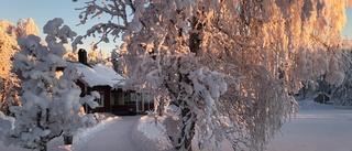 Dagens läsarbild: Novemberdag på Björkliden