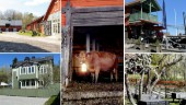 Här kan du ta ett glas bortom citypulsen