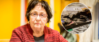Sabotör försökte spränga 84-åriga Ullas brevlåda