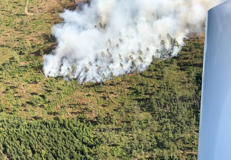 Så här kan det se ut när skogsbrandflyget cirklar över en upptäckt brand.