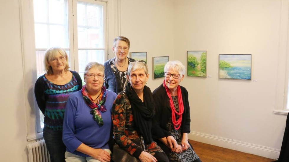 Konstgruppen Amibe Art består av Birgitta Estberg, Anna-Greta jacobsen, Birgitta karlsson, Margoth Karlsson och Mona B Klöfver.