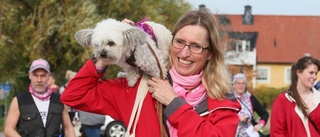 Rosa hundpromenad mot cancer