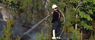 LIVE: Många larm om skogsbränder
