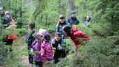 Flera hundra barn letade ägg i VOK-skogen
