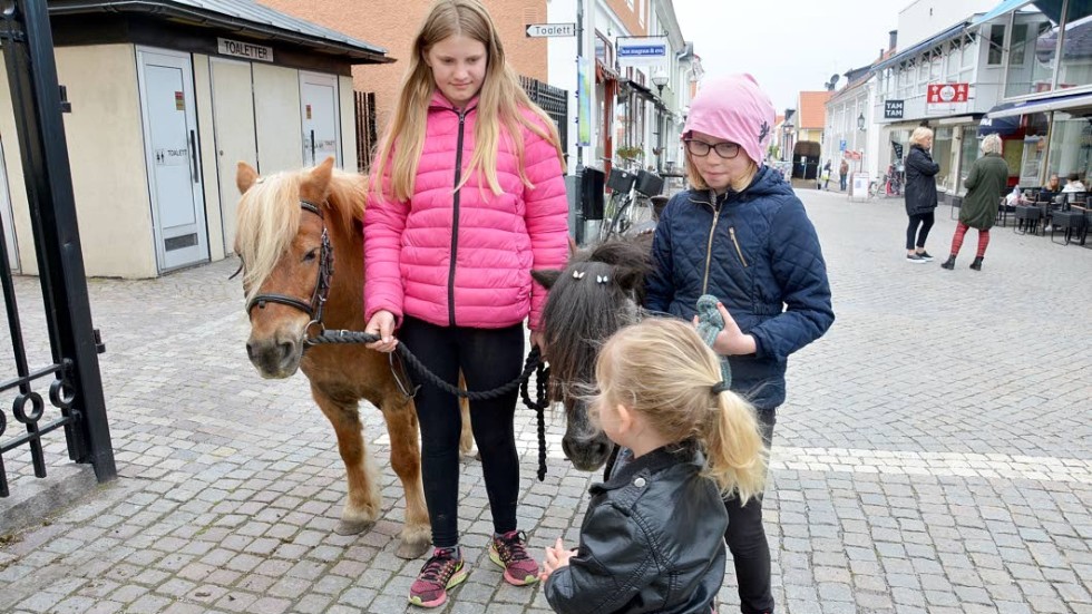 Melanie Hultgren med Ida och Agnes Jansson med Dark hjälpte till med ponnyridningen. Ester Gustafsson har just ridit på Dark, men vill gärna hälsa lite på Ida också.