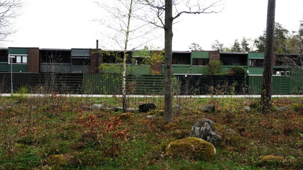 Radhusens trädetaljer är målade i olika färger. Närmast Andreasgården och Skogshagaskolan är färgen grön.