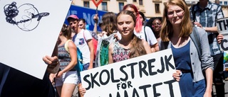 Svensk klimatrörelse spelar stor roll