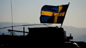 Skydda den svenska flaggan från vanrykte