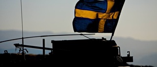 Skydda den svenska flaggan från vanrykte