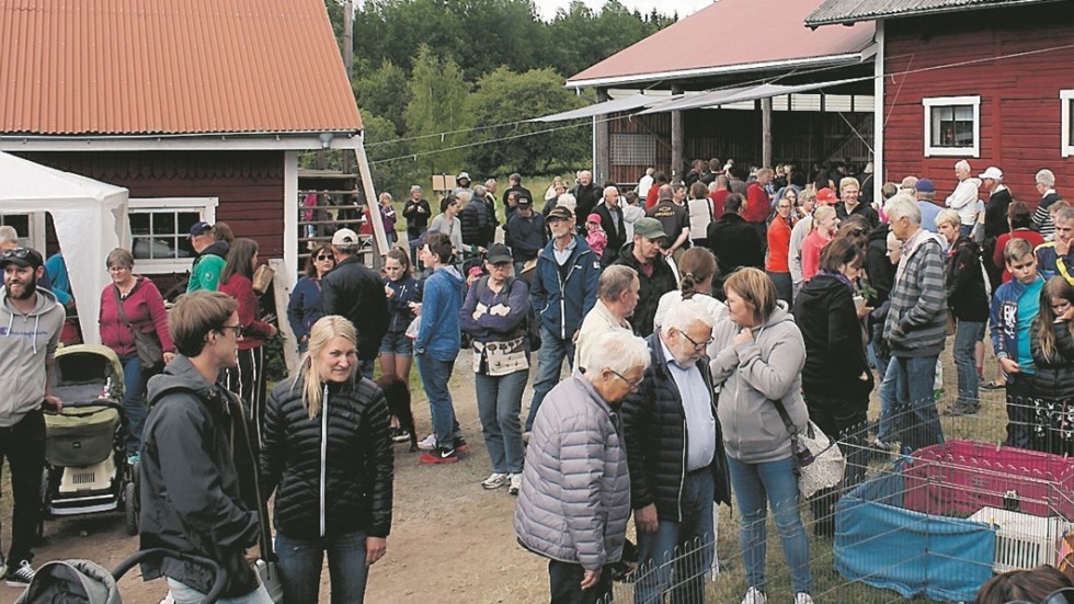 Runt 3000 personer dök upp på hönsbytardagen i Österbymo 2018 då bilden togs. Arkivbild.
