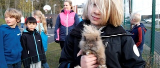 Sötchock: Idag tog djuren över skolan