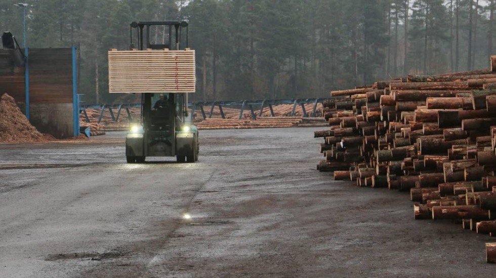 2018 blev ett bra år för sågverken i allmänhet och Bergs Timber i synnerhet. Vinsten blev 229 miljoner kronor.