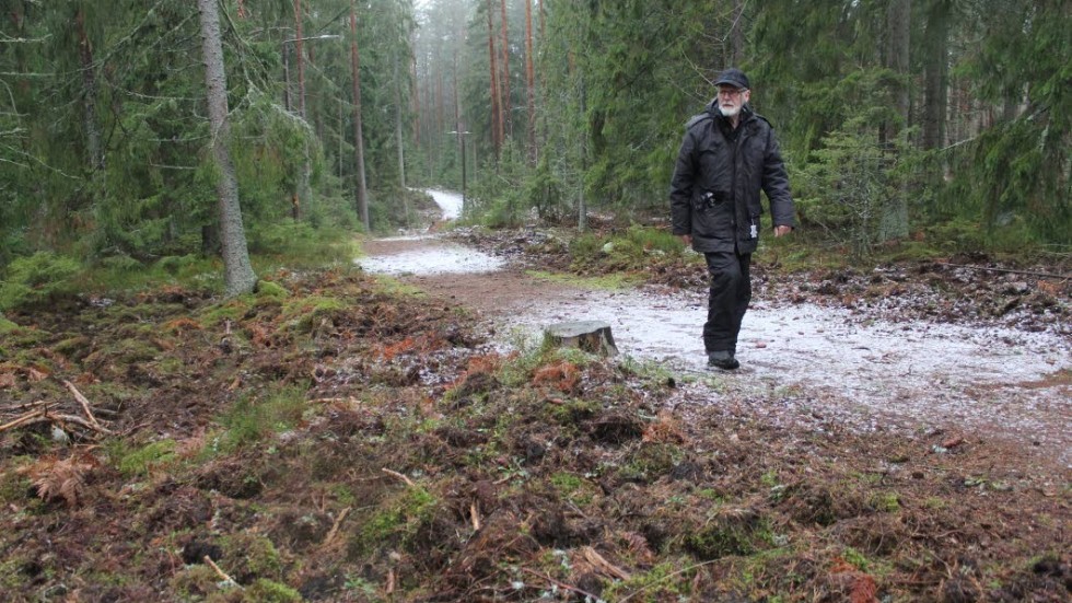 Arne Sävenstrand tvingas ständigt konstatera att vildsvinen bökat upp nya områden vid elljusspåret.