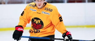 Luleå Hockeys plan inför SHL-premiären