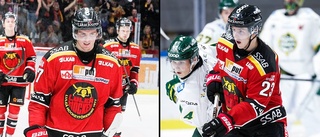 Sellgren och Lundeström på läktaren i AHL