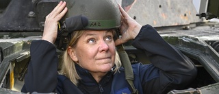 Medlemskap i Nato ger Sverige skydd