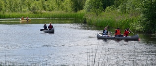 Sommarläger lockade rekorddeltagande