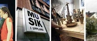 Uppsala sent in i kulturförändring