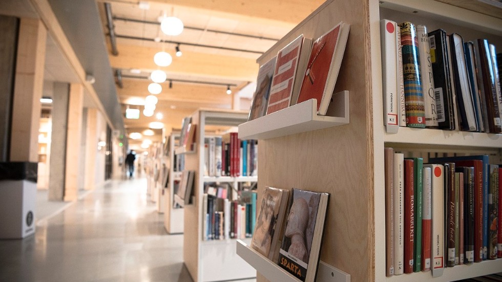 Med rätt förutsättningar skulle biblioteket i kulturhuset ha blivit ett drömbibliotek, anser skribenten.