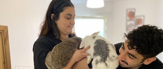 Paret har räddat 15 kaniner: "Rekordmånga dumpas ute"
