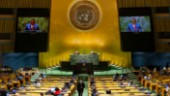 Tyst från Afghanistan och Myanmar vid FN-möte