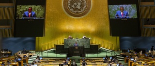 Tyst från Afghanistan och Myanmar vid FN-möte