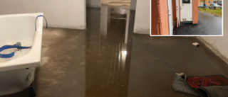 Översvämning i källare hos Lulebo efter regnet • Inga hyresgäster ska vara påverkade