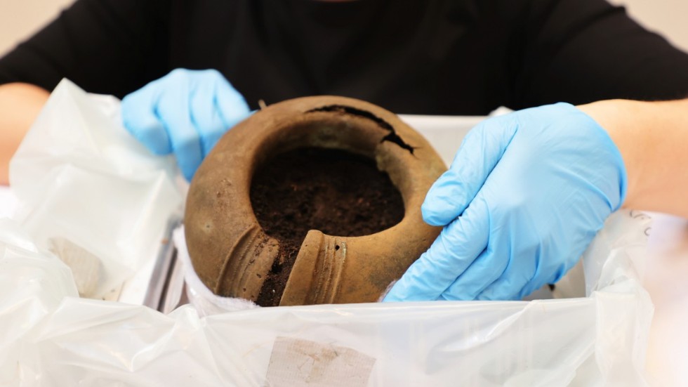 En fotring i det oväntade fyndet av föremål från bronsåldern visas av Madelene Skogbert, konservator på förvaltningen för kulturutveckling i Västra Götalandsregionen.