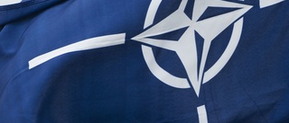 Ryssland drar tillbaka Nato-delegation