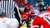 Sebastian Hansson till Piteå Hockey: "Tillför något som behövs i vårt spel"