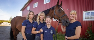 Framgångsrika familjen Marklund i Piteå storsatsar – förstärker stallet med nya hästar