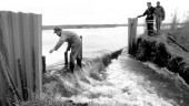 Nostalgi: Kraftig vårflod fick Roxen att svämma över