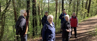 Seniorer umgås i skog och mark för hälsans skull