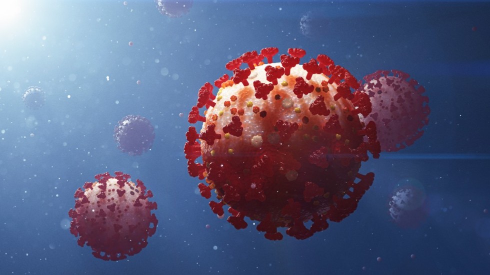 Nya coronavirus tillhörde några av de hundratusentals nya RNA-virus som ett forskarlag nu upptäckt. Bilden är en illustration. Arkivbild.