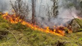 Skogsbrand släckt efter insats
