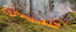 Skogsbrand släckt efter insats