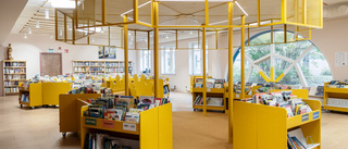 Läsfabriken nygammal oas för lässugna barn