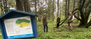 Kommunen ska göra ett kalhygge – i ett naturreservat: "Det är tillåtet att bedriva skogsbruk i det här reservatet"