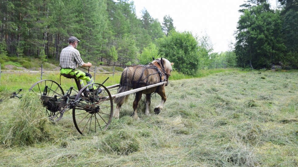 Skribenten förundras över vad människor lyckades skapa med så knappa resurser för i tiden.