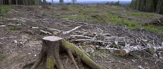 Nödsignal för den svenska skogen