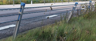 Vägräcken rustas upp i Västerviks kommun • Här är sträckorna som berörs • Kan bli svårt att ta sig fram
