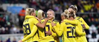 Ny svensk seger i VM-kvalet   