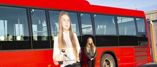 Tre kändisbussar till har börjat rulla i Luleå