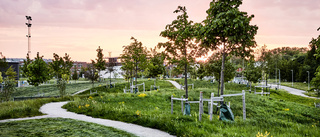 Paradiset i Linköping prisad som Sveriges finaste park