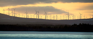 Låt företagen göra mer för klimatet 