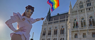 Ny lag oroade på dragqueen-tävling i Ungern